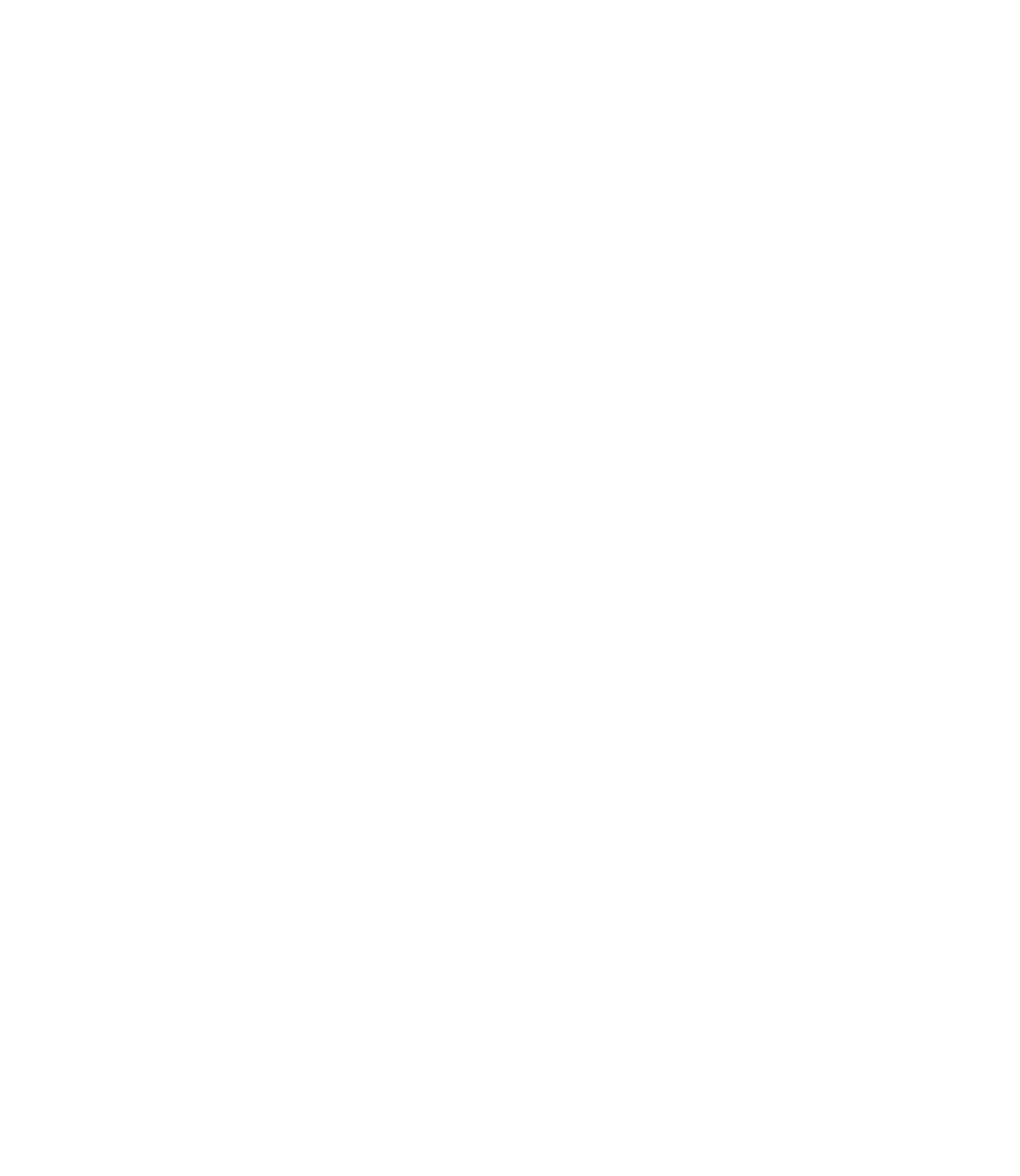 Design Management